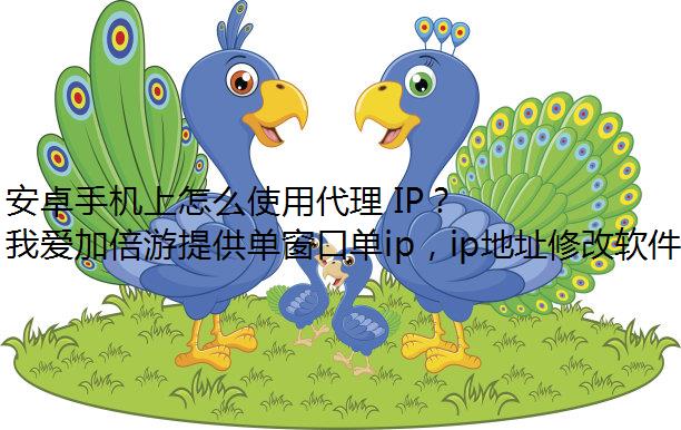 安卓手机怎么用代理ip