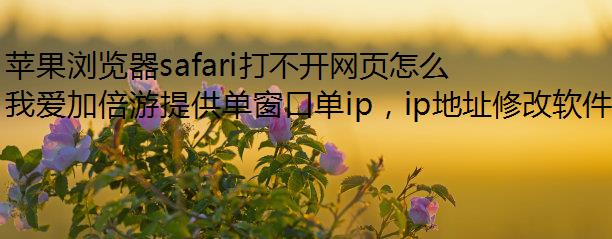 苹果浏览器safari打不开网页怎么回事？