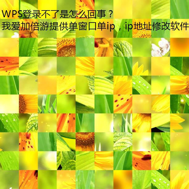 WPS登录不了是怎么回事？