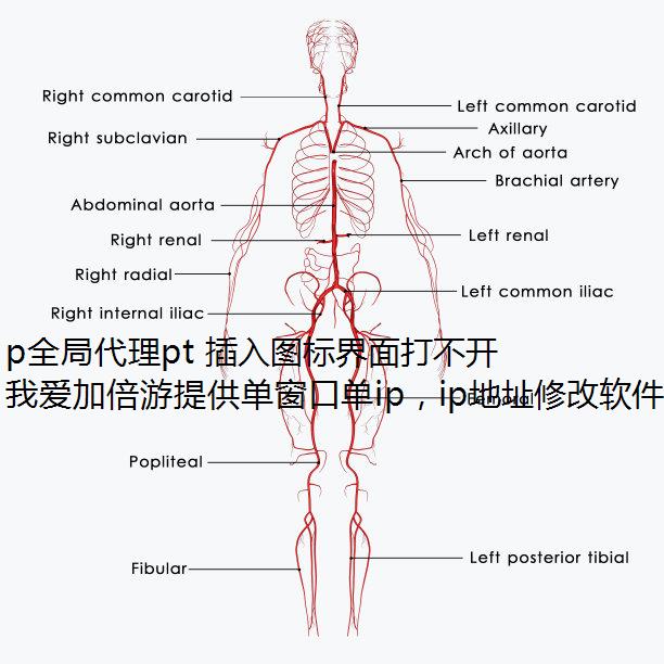 p全局代理pt 插入图标界面打不开怎么办?