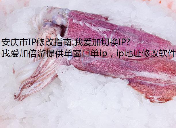 安庆市IP修改指南:我爱加切换IP倍游与雷电模拟器的动态/静态IP选择与应用