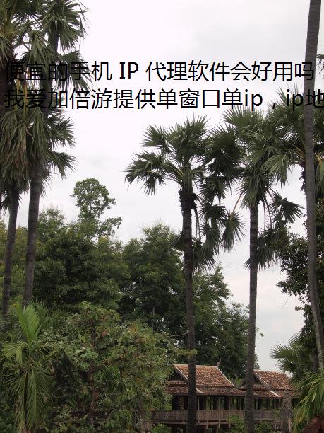 便宜的手机 IP 代理软件会好用吗？