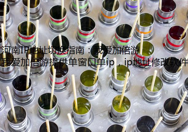 河南IP地址切换指南：我爱加倍游的使用与动态静态IP解析