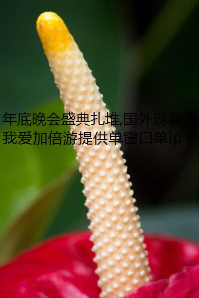 年底晚会盛典扎堆,国外观看遇卡顿怎么包机ip办?
