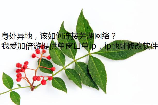 身处异地，该如何连接芜湖网络？答案当然是我爱加倍游！