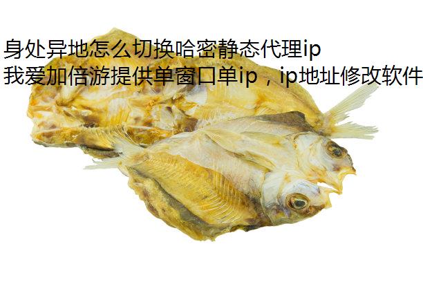 身处异地怎么切换哈密静态代理ip？