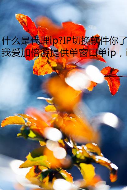 什么是代理ip?IP切换软件你了解吗?