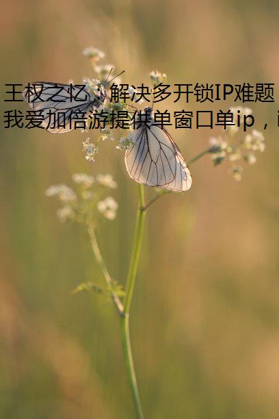 王权之忆：解决多开锁IP难题，加倍游助力畅玩我爱加倍游