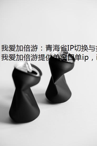 我爱加倍游：青海省IP切换与多场景应用指南（2025最新版）