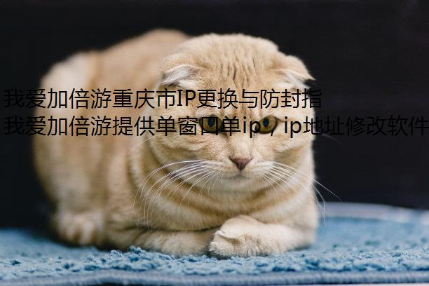 我爱加倍游重庆市IP更换与防封指南：动态/静态IP配置全解析
