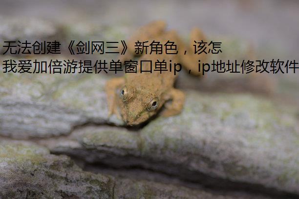 无法创建《剑网三》新角色，该怎么办？