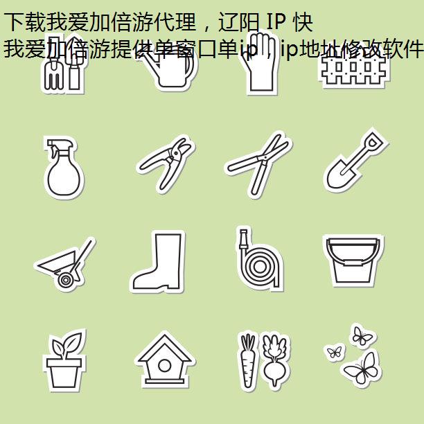 下载我爱加倍游代理，辽阳 IP 快速到手！