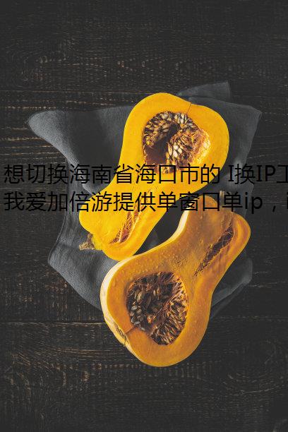 想切换海南省海口市的 I换IP工具P 地址?就选我爱加倍游代理